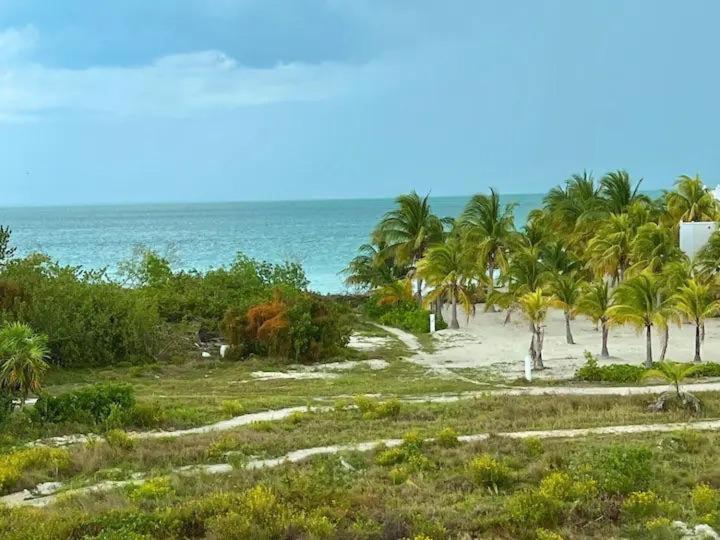 Holbox Te Quiero Luxury Suites Isla Holbox Exterior photo